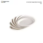 Custom Takeaway Plates