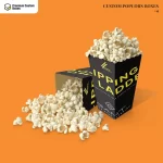 Custom Popcorn Boxes