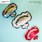 Custom Die Cut Mylar Bags